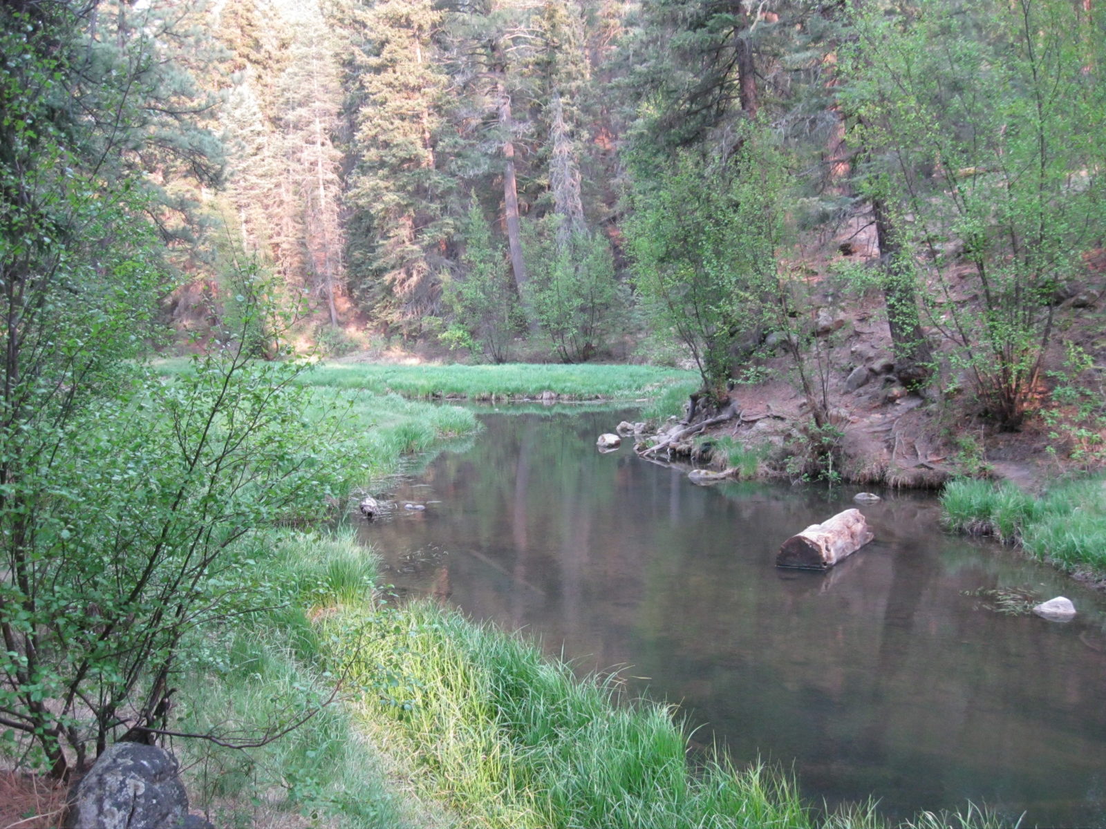 East Fork Jemez River Jemez Central Jemez Central