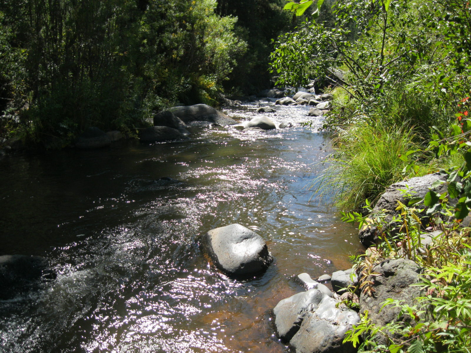 Jemez River Jemez Central Jemez Central